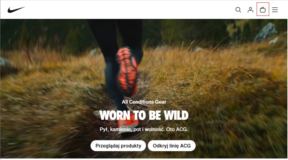 Ikona koszyka w sklepie internetowym